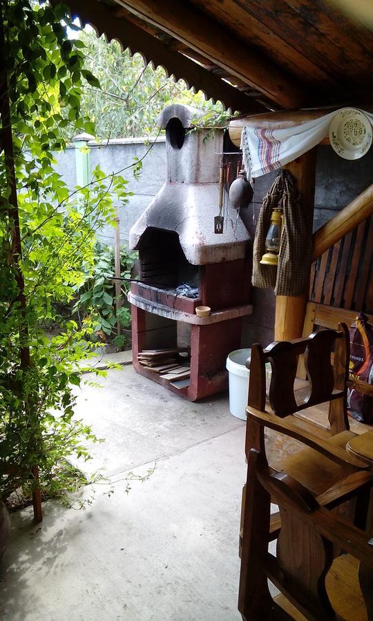 Гостевой дом Casa Cosmin Dobra Экстерьер фото